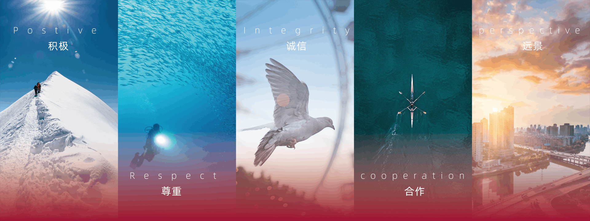 積極，尊重，誠信，合作，遠景